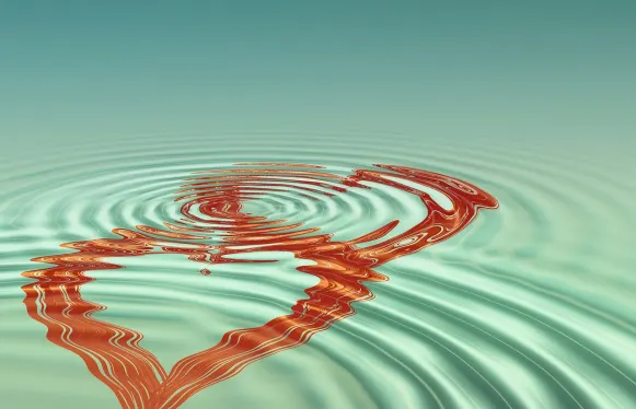 Casino Napoli Stuðningur